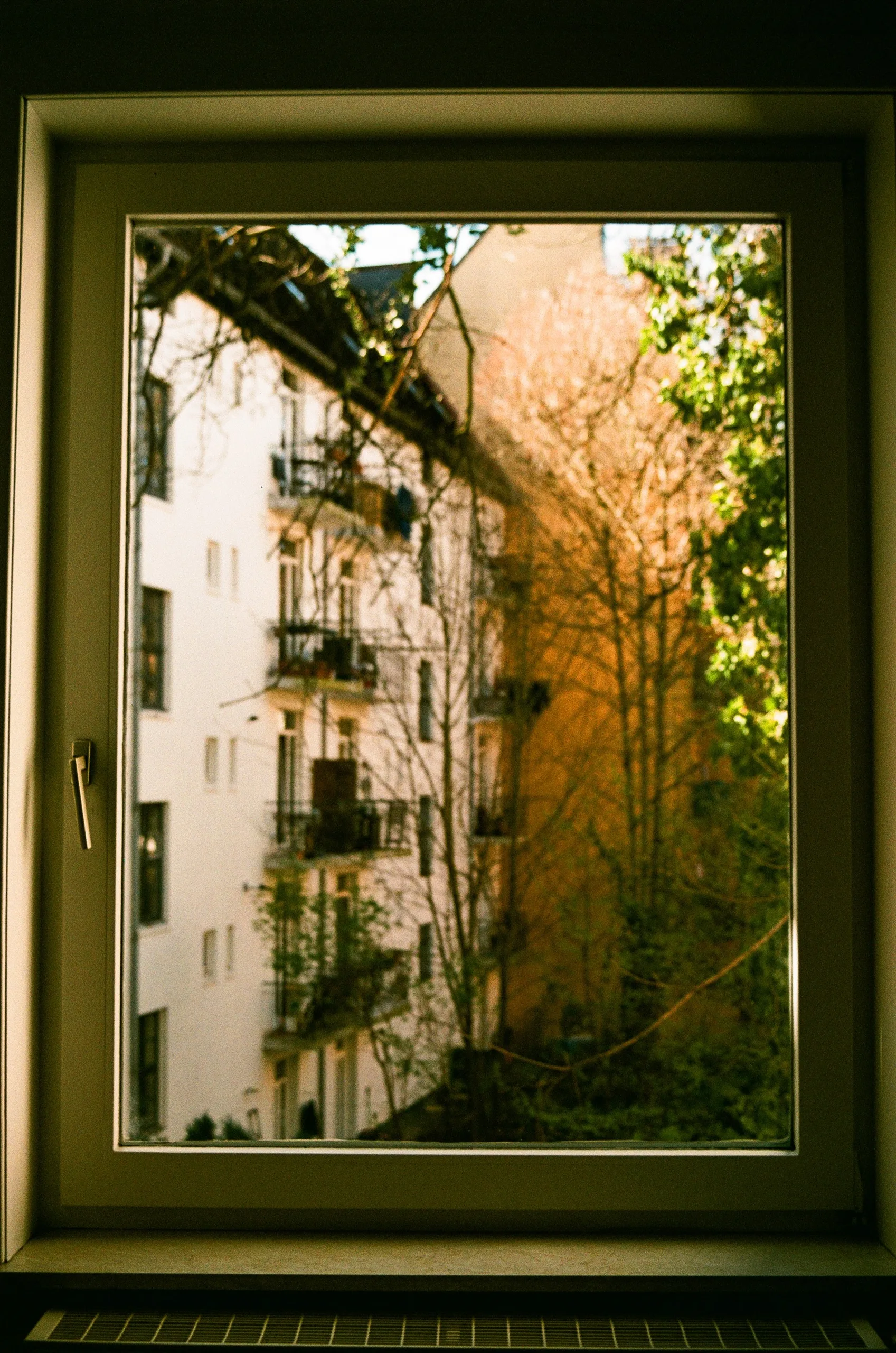 Photo 51 of 117