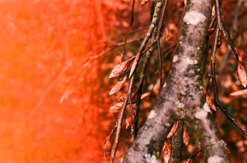 Spring '26 photo 52