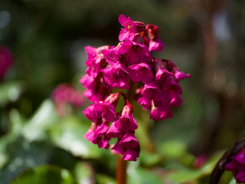Spring '26 photo 14