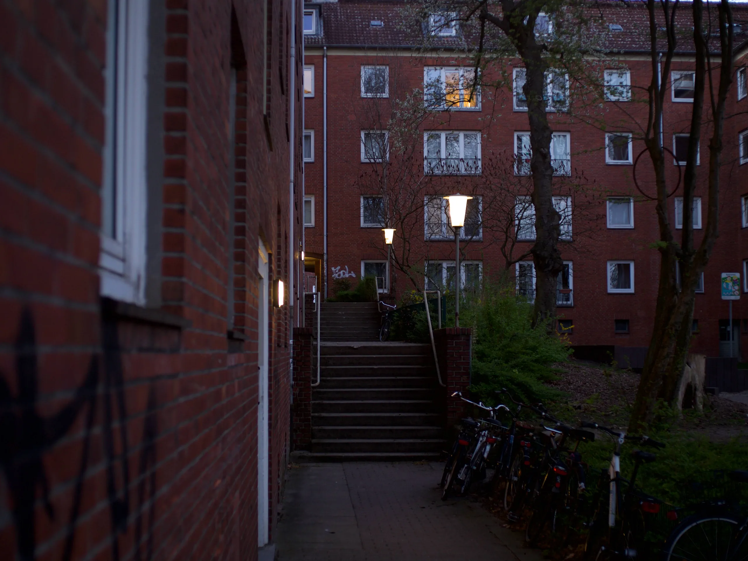Photo 12 of 117