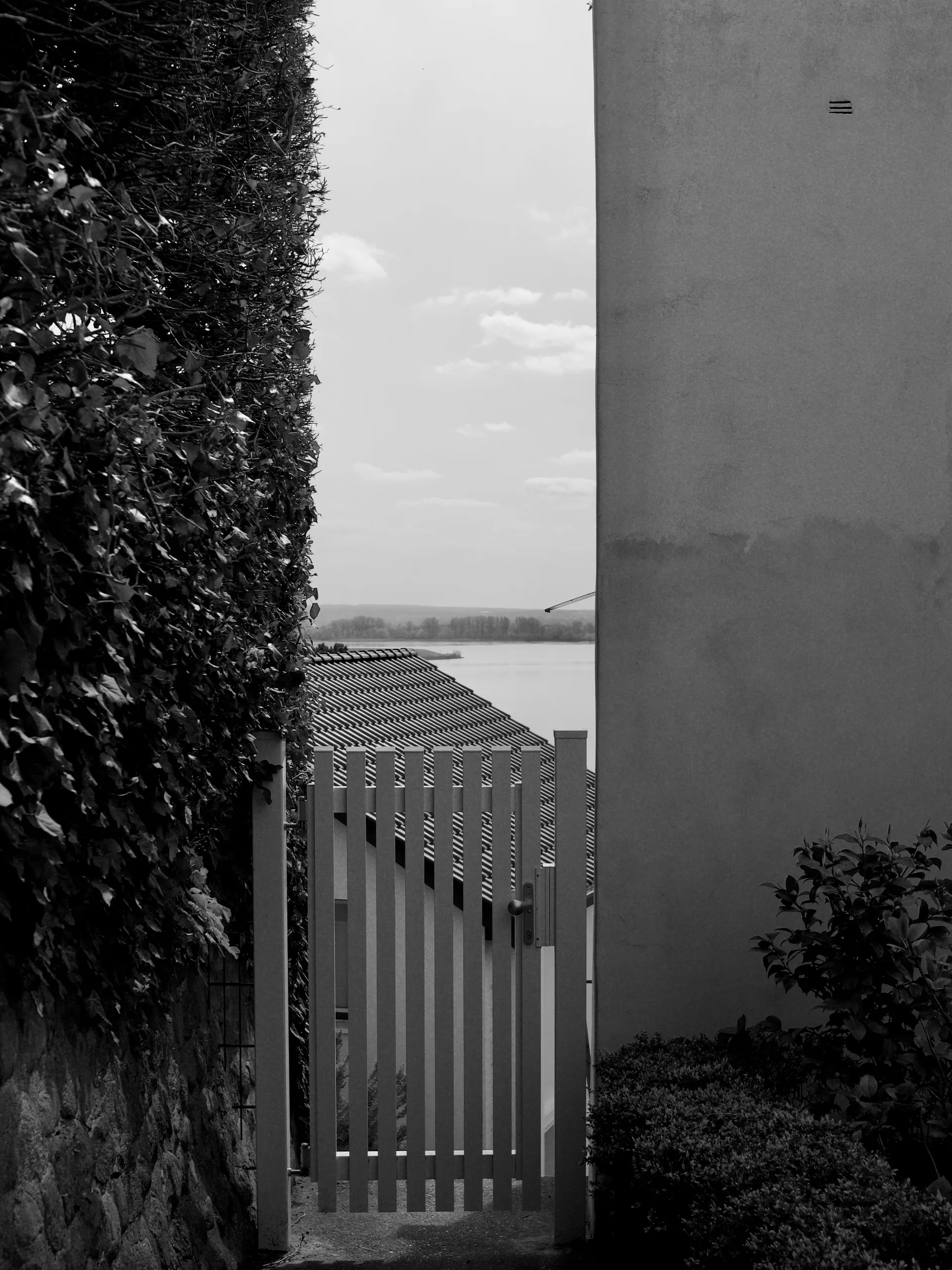 Photo 27 of 117