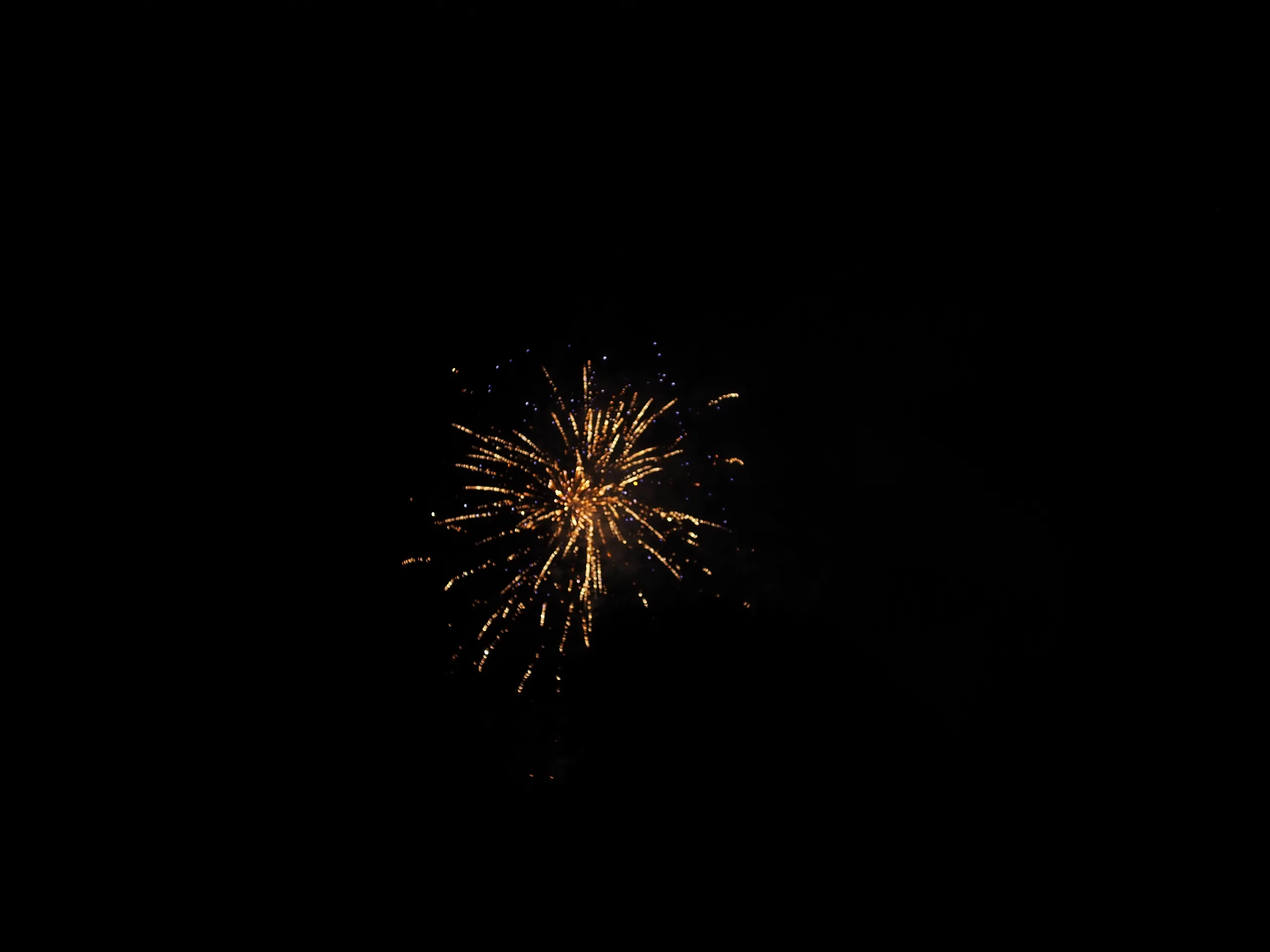 Photo 70 of 117